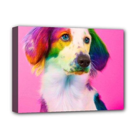 Rainbowdog Deluxe Canvas 16  X 12  (stretched) 