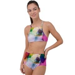 Rainbowdog High Waist Tankini Set by Sparkle