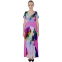 Rainbowdog High Waist Short Sleeve Maxi Dress View1