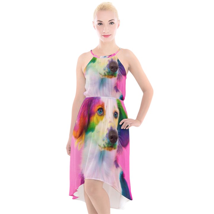 Rainbowdog High-Low Halter Chiffon Dress 