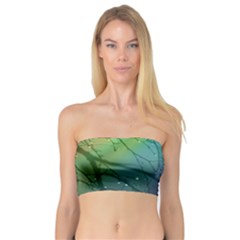 Rainbow Rain Bandeau Top by Sparkle