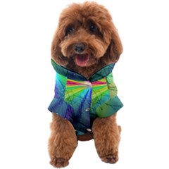 Rainbow Rain Dog Coat