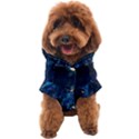  Coral reef Dog Coat View1