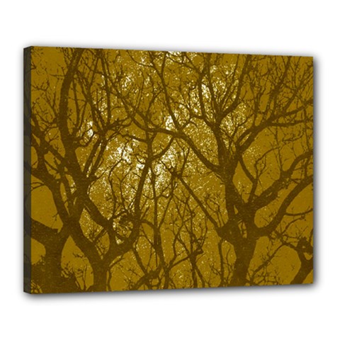 Forest Landscape Illustration 2 Canvas 20  X 16  (stretched) by dflcprintsclothing