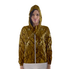 Forest Landscape Illustration 2 Women s Hooded Windbreaker by dflcprintsclothing