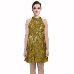 Forest Landscape Illustration 2 Velvet Halter Neckline Dress  by dflcprintsclothing