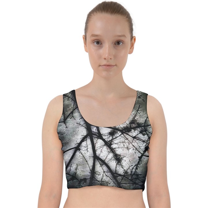 Closing In  Velvet Racer Back Crop Top