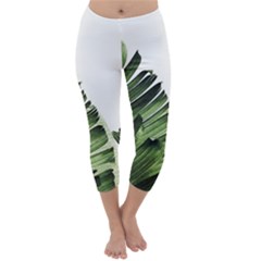 Green Banana Leaves Capri Winter Leggings  by goljakoff