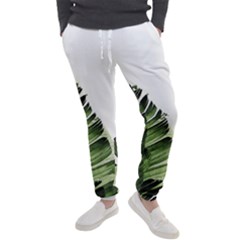 Green Banana Leaves Men s Jogger Sweatpants by goljakoff