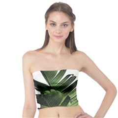 Green Banana Leaves Tube Top by goljakoff