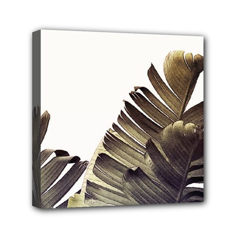 Vintage Banana Leaves Mini Canvas 6  X 6  (stretched) by goljakoff