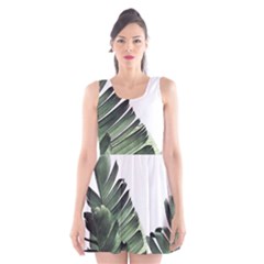 Banana Leaves Scoop Neck Skater Dress