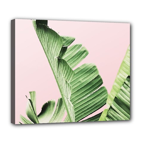 Palm Leaf Deluxe Canvas 24  X 20  (stretched) by goljakoff