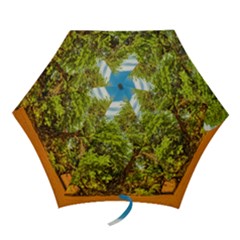 Carob Tree, Talampaya National Park, La Rioja, Argentina Mini Folding Umbrellas by dflcprintsclothing