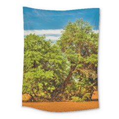 Carob Tree, Talampaya National Park, La Rioja, Argentina Medium Tapestry by dflcprintsclothing