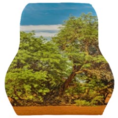 Carob Tree, Talampaya National Park, La Rioja, Argentina Car Seat Back Cushion  by dflcprintsclothing