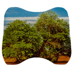 Carob Tree, Talampaya National Park, La Rioja, Argentina Velour Head Support Cushion by dflcprintsclothing