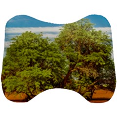 Carob Tree, Talampaya National Park, La Rioja, Argentina Head Support Cushion by dflcprintsclothing