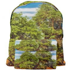 Carob Tree, Talampaya National Park, La Rioja, Argentina Giant Full Print Backpack