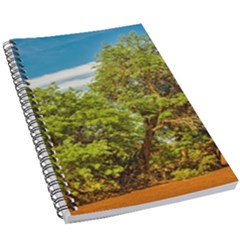 Carob Tree, Talampaya National Park, La Rioja, Argentina 5 5  X 8 5  Notebook by dflcprintsclothing