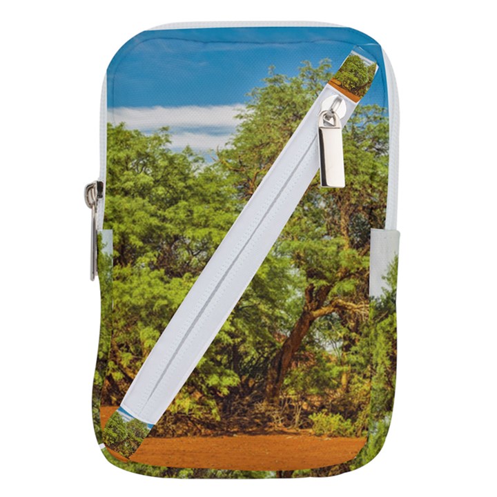 Carob Tree, Talampaya National Park, La Rioja, Argentina Belt Pouch Bag (Small)