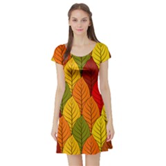 Autumn Leaves Short Sleeve Skater Dress by designsbymallika