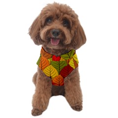 Autumn Leaves Dog Sweater