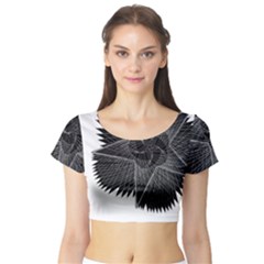 1561332892177 Copy 3072x4731 2 Short Sleeve Crop Top by Sabelacarlos