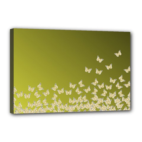 Yellow, Gold Gradient Butterflies Pattern, Cute Insects Theme Canvas 18  X 12  (stretched) by Casemiro