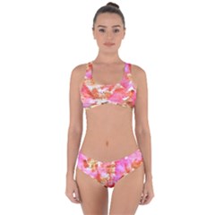 Color Of World Criss Cross Bikini Set by ginnyden