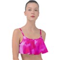 Complementary contrast Frill Bikini Top View1