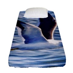 Seagull Flying Over Sea, Montevideo, Uruguay Fitted Sheet (single Size) by dflcprintsclothing