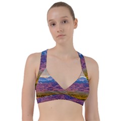 Arid Andean Landscape, La Rioja, Argentina010 Sweetheart Sports Bra by dflcprintsclothing