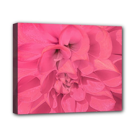 Beauty Pink Rose Detail Photo Canvas 10  X 8  (stretched) by dflcprintsclothing