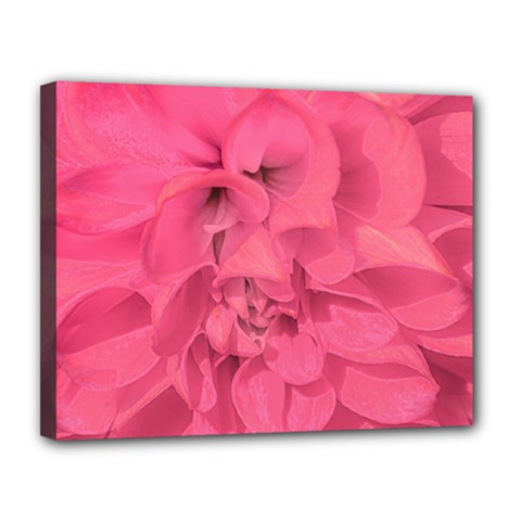 Beauty Pink Rose Detail Photo Canvas 14  X 11  (stretched) by dflcprintsclothing