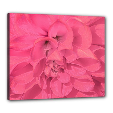 Beauty Pink Rose Detail Photo Canvas 24  X 20  (stretched) by dflcprintsclothing