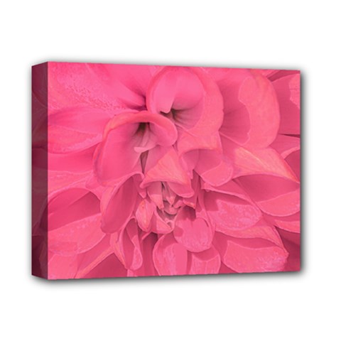 Beauty Pink Rose Detail Photo Deluxe Canvas 14  X 11  (stretched) by dflcprintsclothing