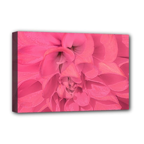 Beauty Pink Rose Detail Photo Deluxe Canvas 18  X 12  (stretched) by dflcprintsclothing