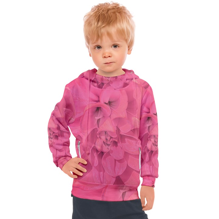 Beauty Pink Rose Detail Photo Kids  Hooded Pullover