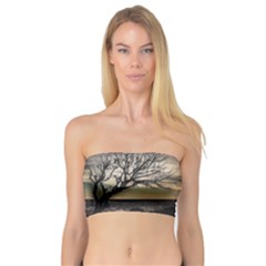 Coastal Sunset Scene At Montevideo City, Uruguay Bandeau Top by dflcprintsclothing