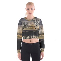 Coastal Sunset Scene At Montevideo City, Uruguay Cropped Sweatshirt by dflcprintsclothing