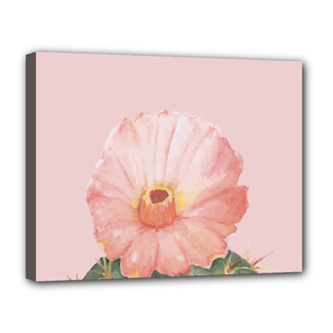 Rose Cactus Canvas 14  X 11  (stretched) by goljakoff