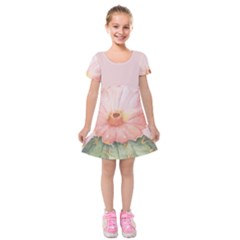 Rose Cactus Kids  Short Sleeve Velvet Dress by goljakoff