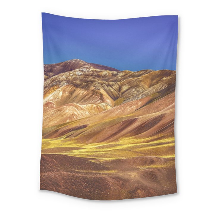 Colored Mountains Landscape, La Rioja, Argentina Medium Tapestry