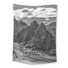 Andean Landscape At Brava Lagoon Reserve, La Rioja, Argentina Medium Tapestry by dflcprintsclothing