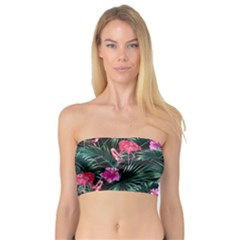 Pink Flamingo Bandeau Top by goljakoff