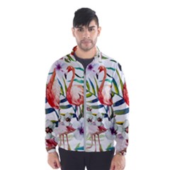 Tropical Flamingo Men s Windbreaker by goljakoff