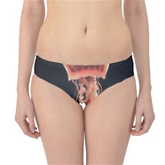 Photo Méduse Hipster Bikini Bottoms by kcreatif