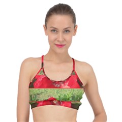 Photos Collage Coquelicots Basic Training Sports Bra by kcreatif