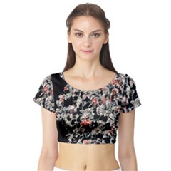 Like Lace Short Sleeve Crop Top by MRNStudios